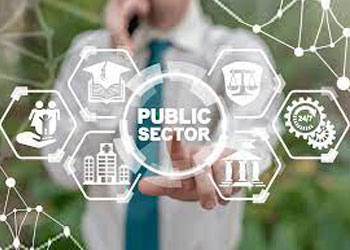 Public Sector